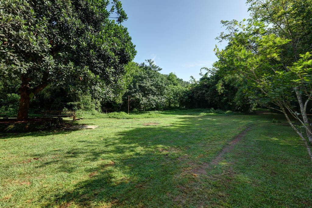 Marg Stream Valley Vythiri Exterior photo